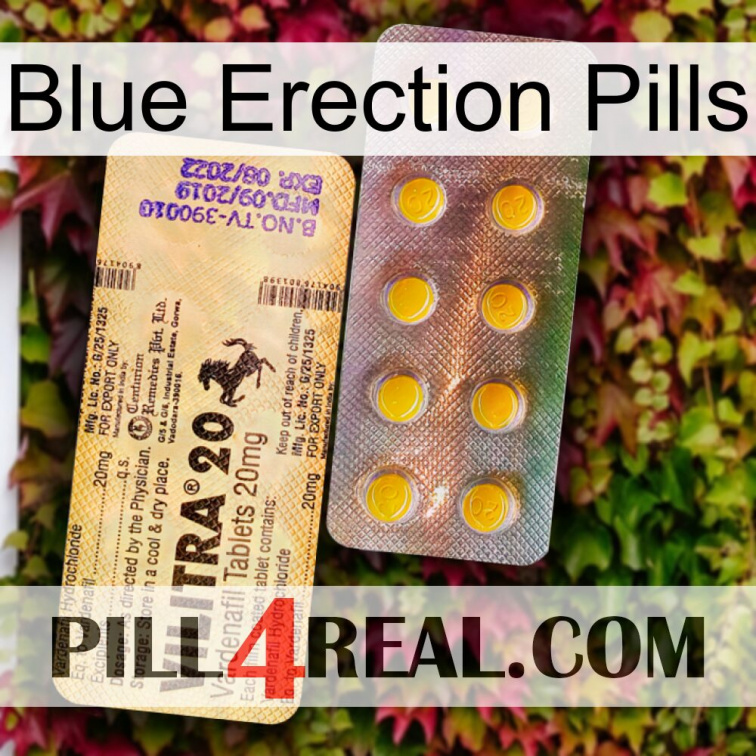 Blue Erection Pills new06